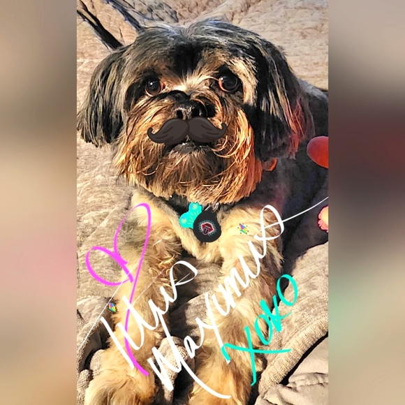 Meet your Posher, Tracy - Picture 2 of 3